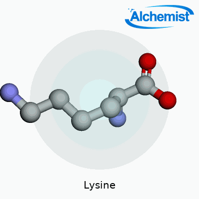 Lysine